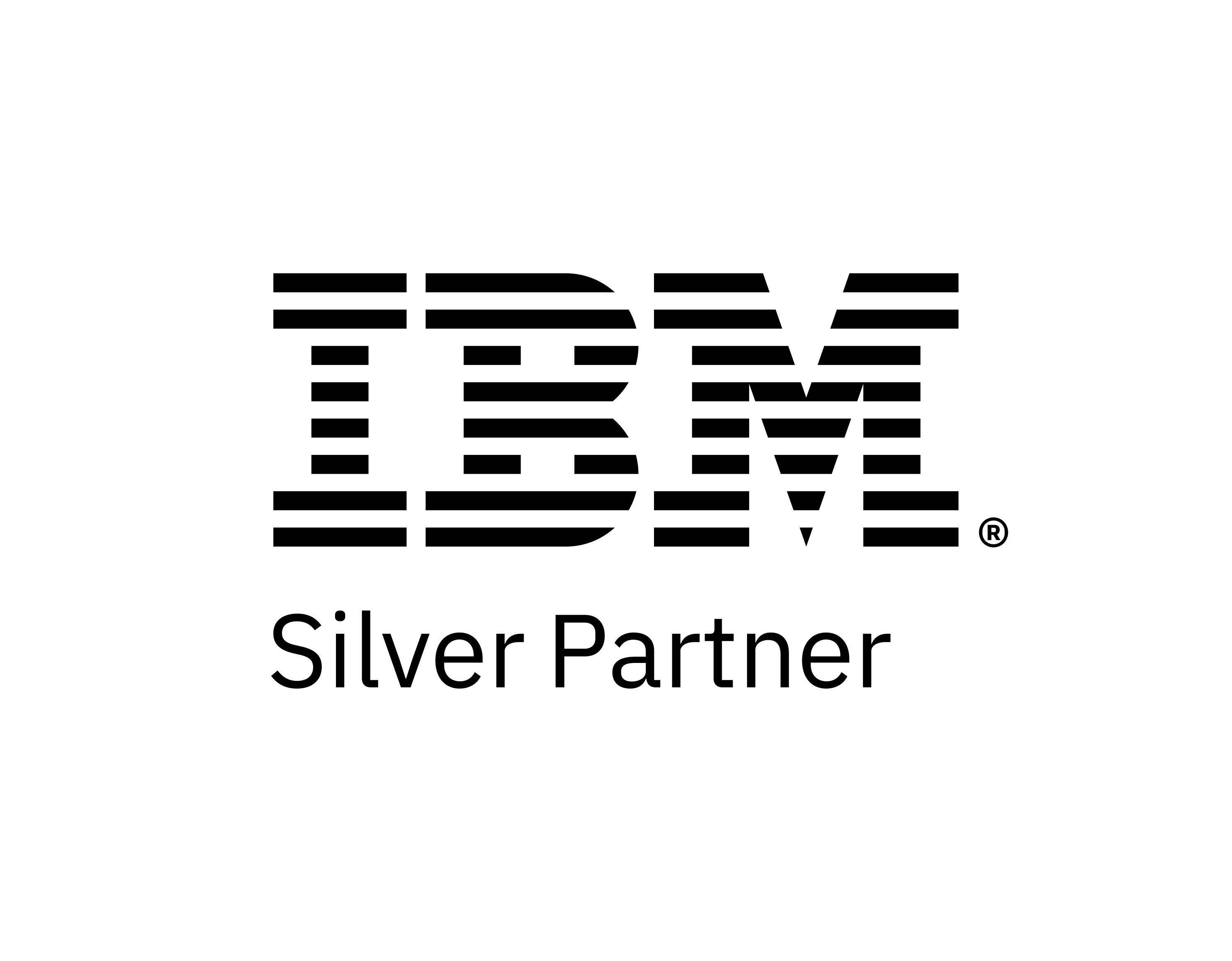 IBM Silver Partner badge